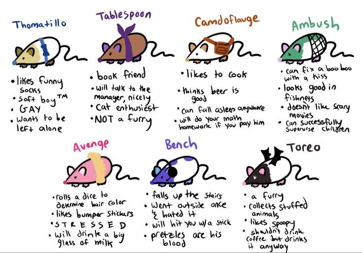 vera ENHYPEN IS SEVEN tweet media