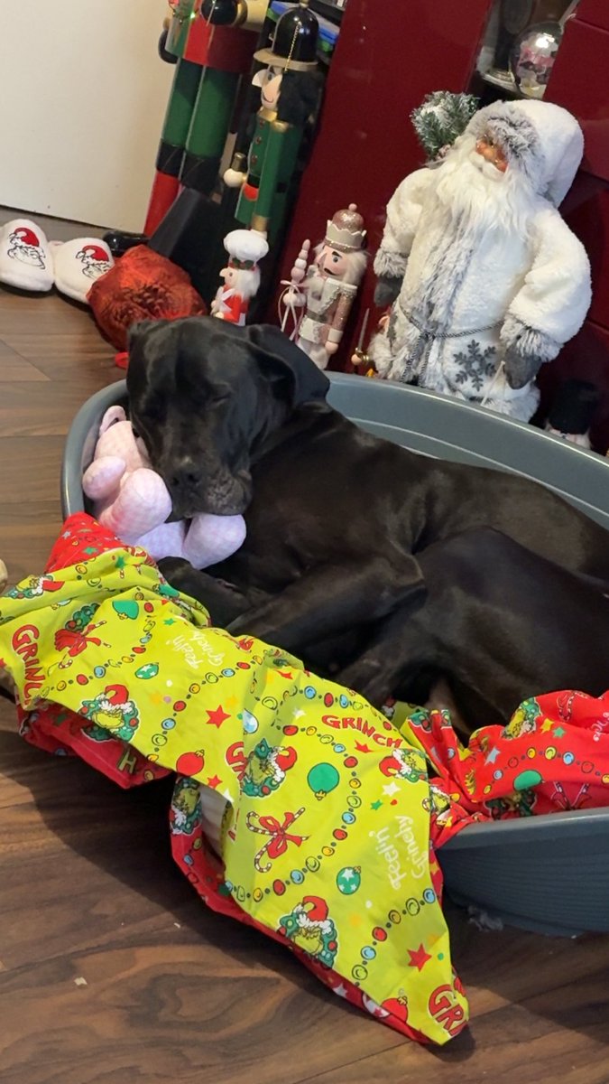 Help2Rehome Scotland tweet media