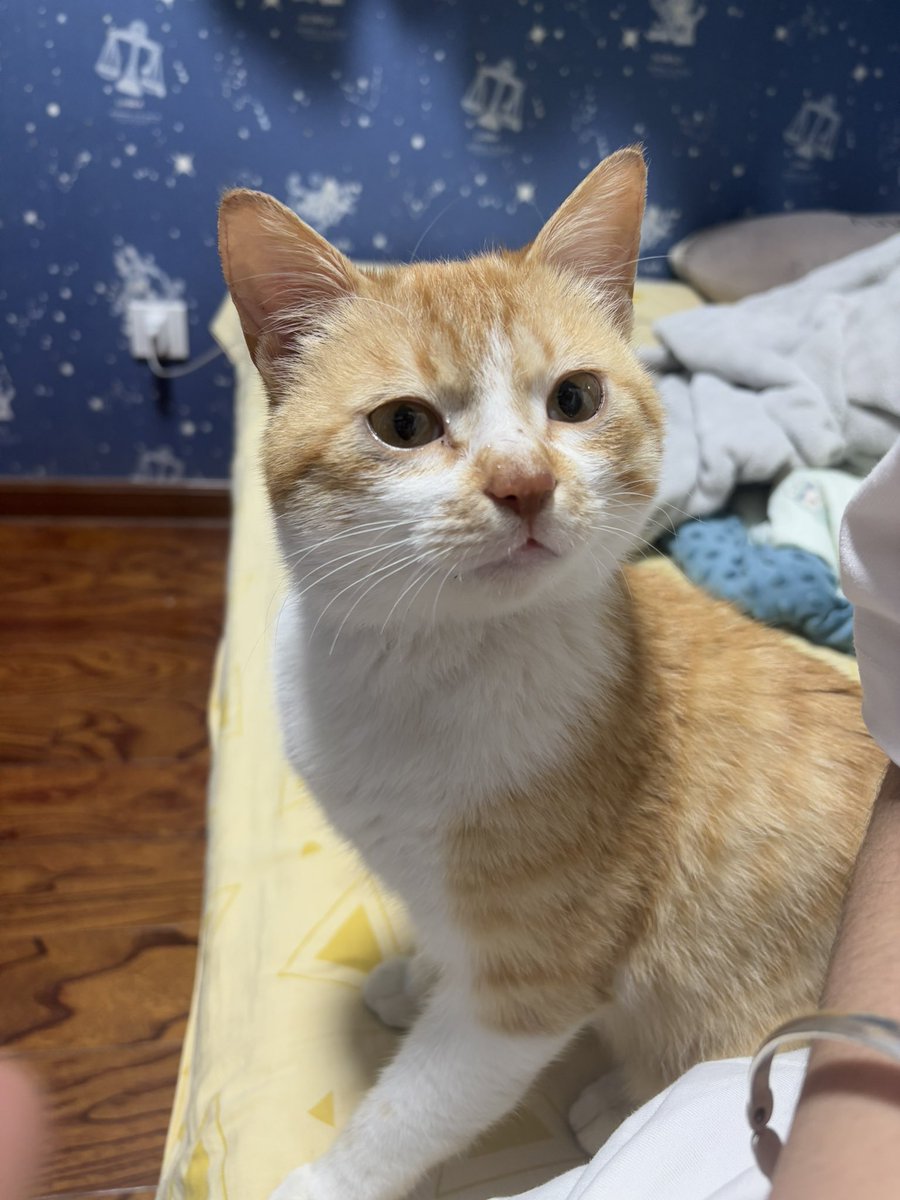 土豆泥泥面 tweet media