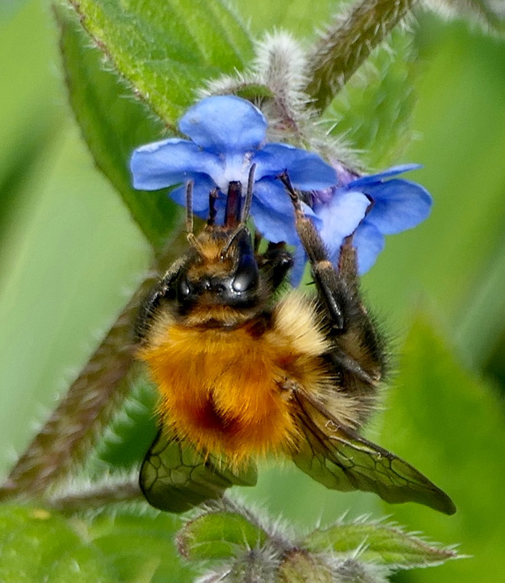 Mike Robinson tweet media