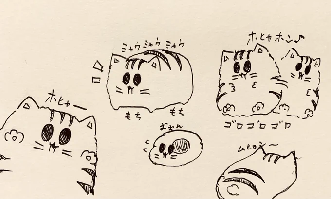 真夜中のもち虎さん🐯 