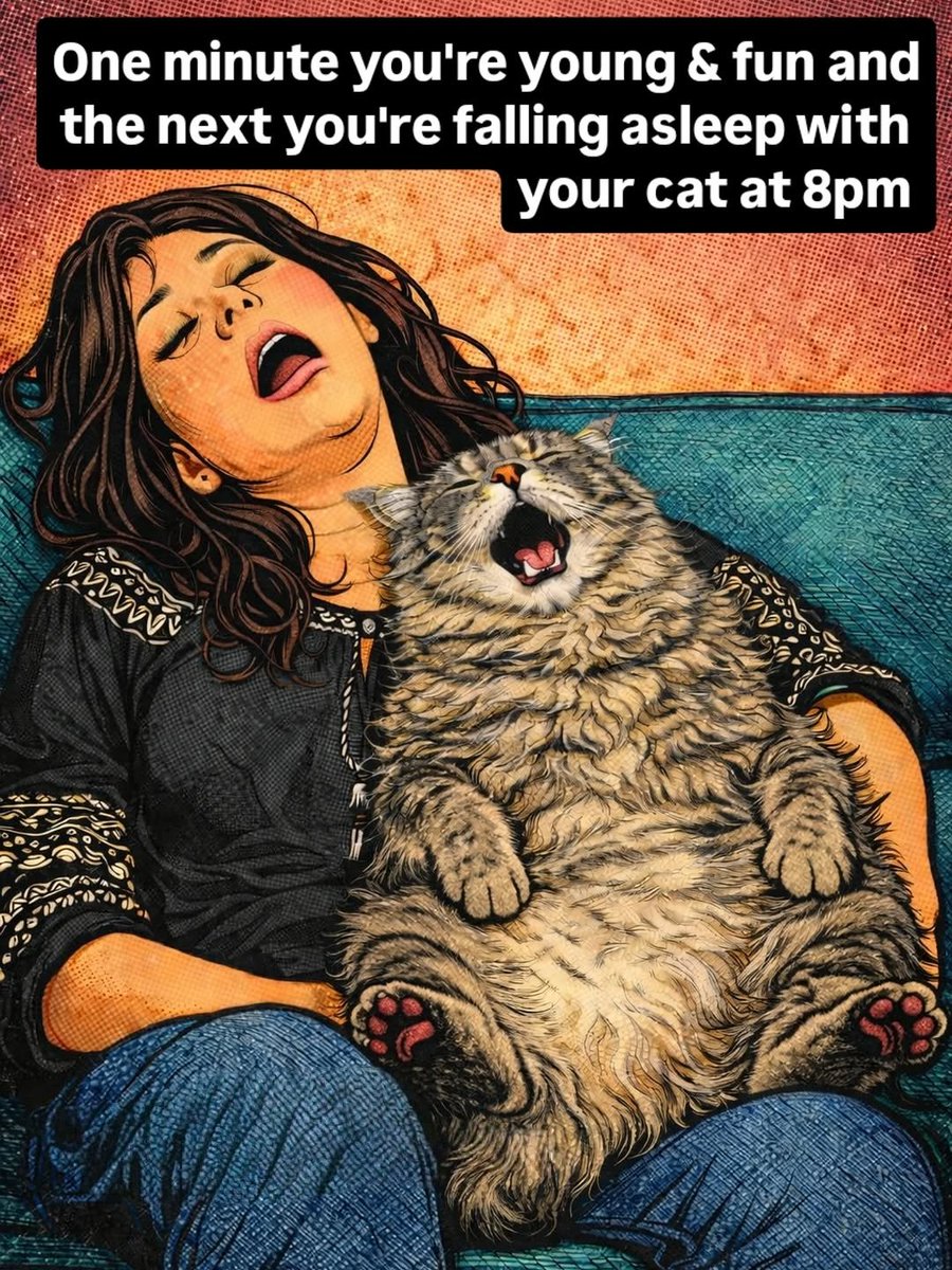 We don't deserve cats 😺 tweet media