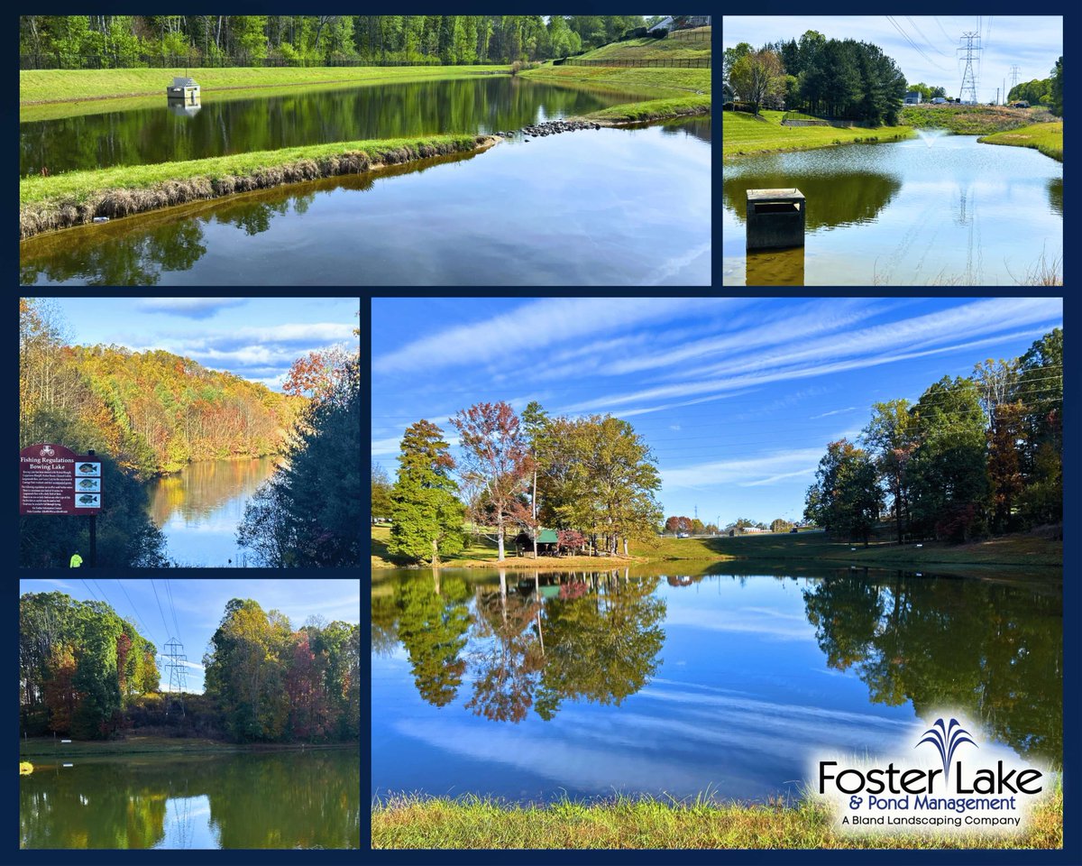 FosterLake's tweet photo. We often overlook the beauty of nature because it has become a normal part of everyday life. Sometimes it’s nice to stop and just take a look at what's right in front of us.🍃

Thank you to Tyler from our Charlotte Branch for taking the time to document the calm and the serene!📸 https://t.co/NWxM94JWKZ