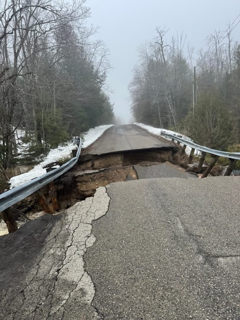 𝙳𝚊𝚗𝚔 tweet media