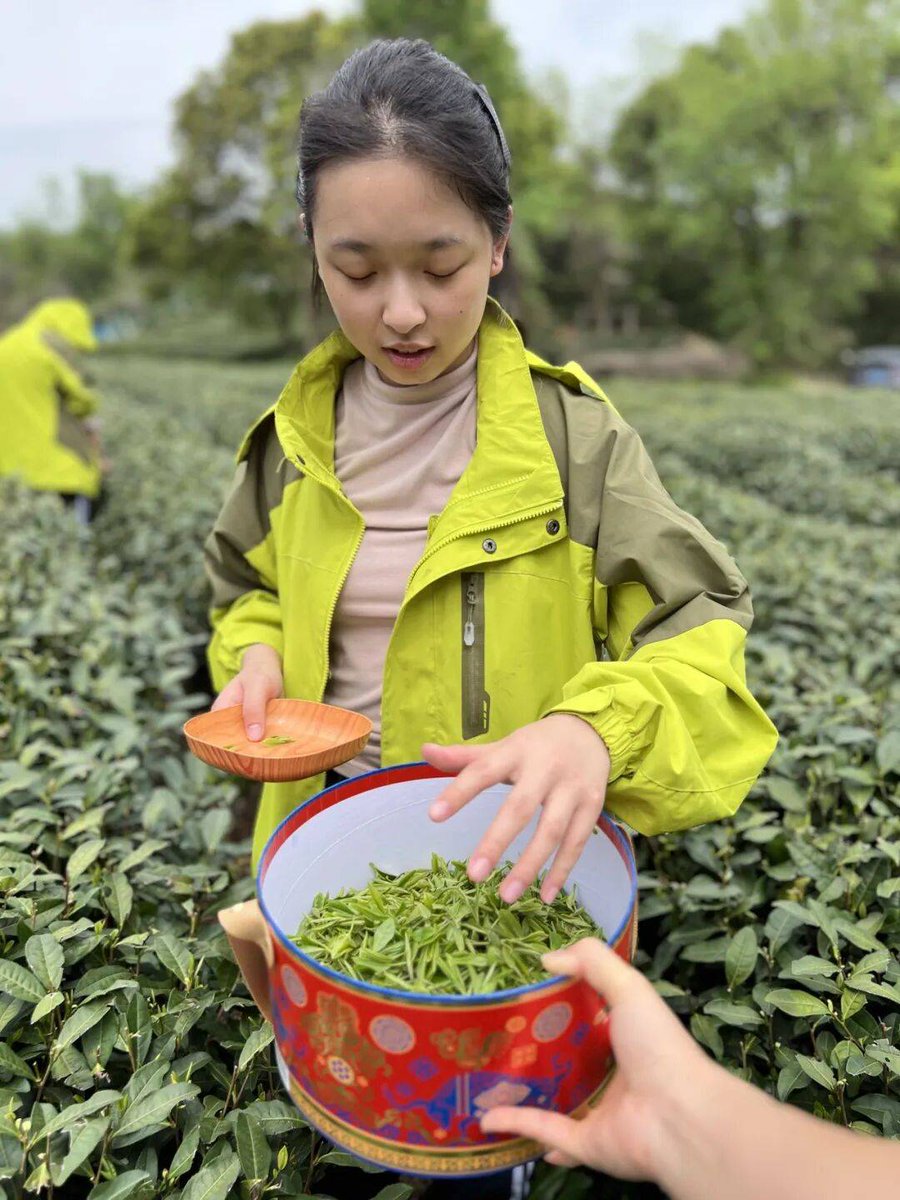 Chrissy pomeroy tweet media