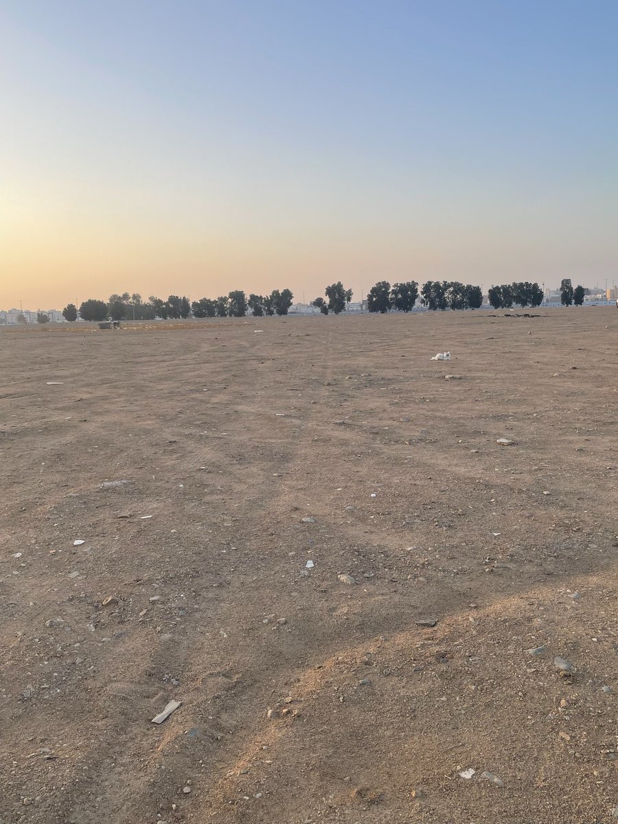 سعيد ابو نوره tweet media