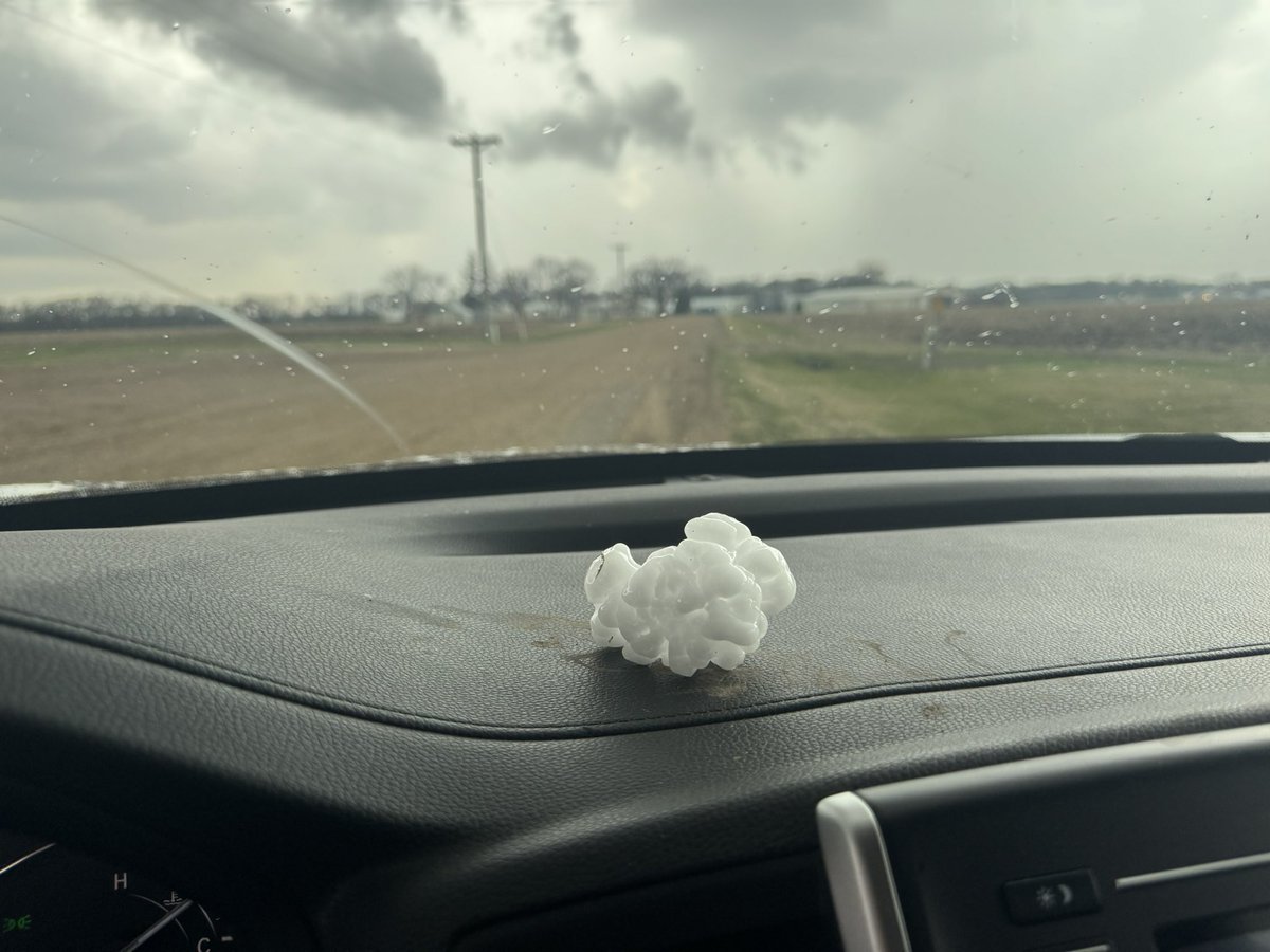 MatthewCappucci's tweet image. Bringing my emotional support friend.