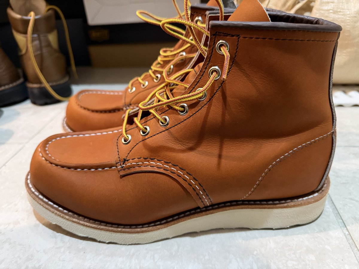 アゴレオ・アゴレイ tweet media