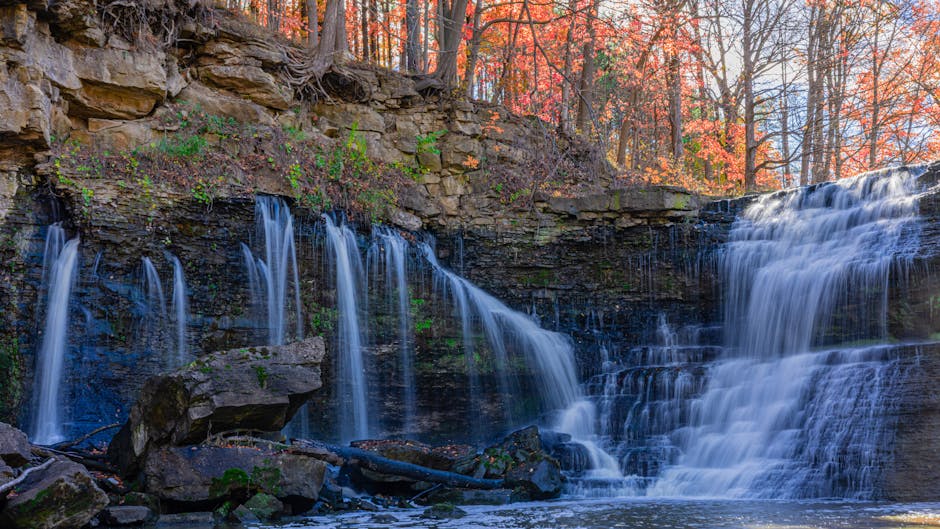 Jeremy Howard tweet media