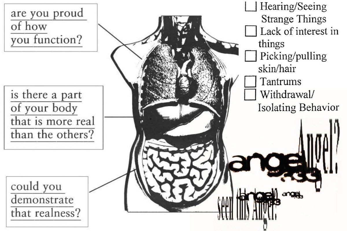lonelytree of shedtwt tweet media