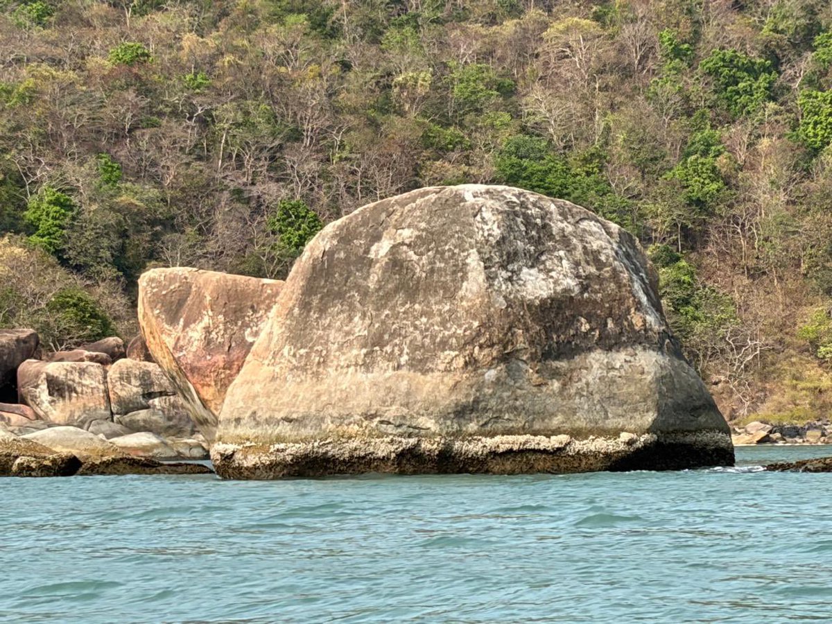 N U Parmar tweet media