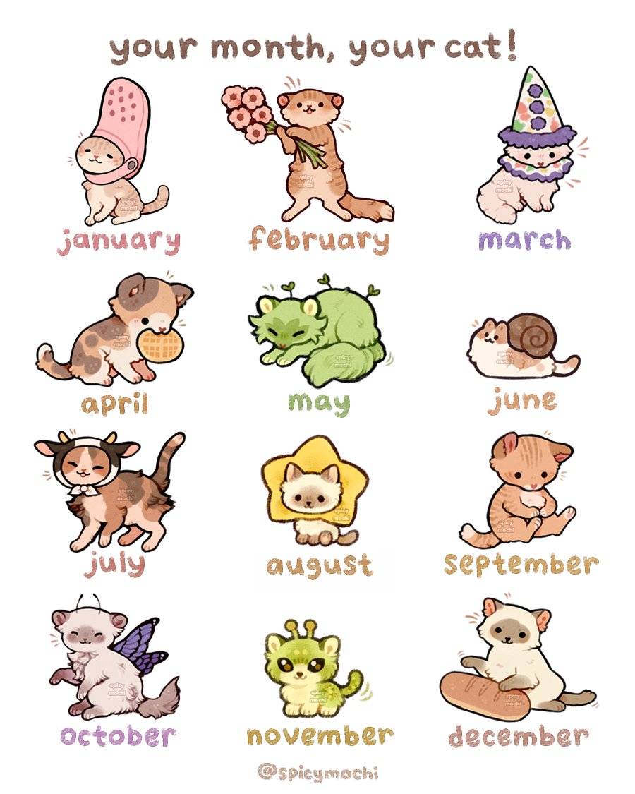 Spicymochi tweet media