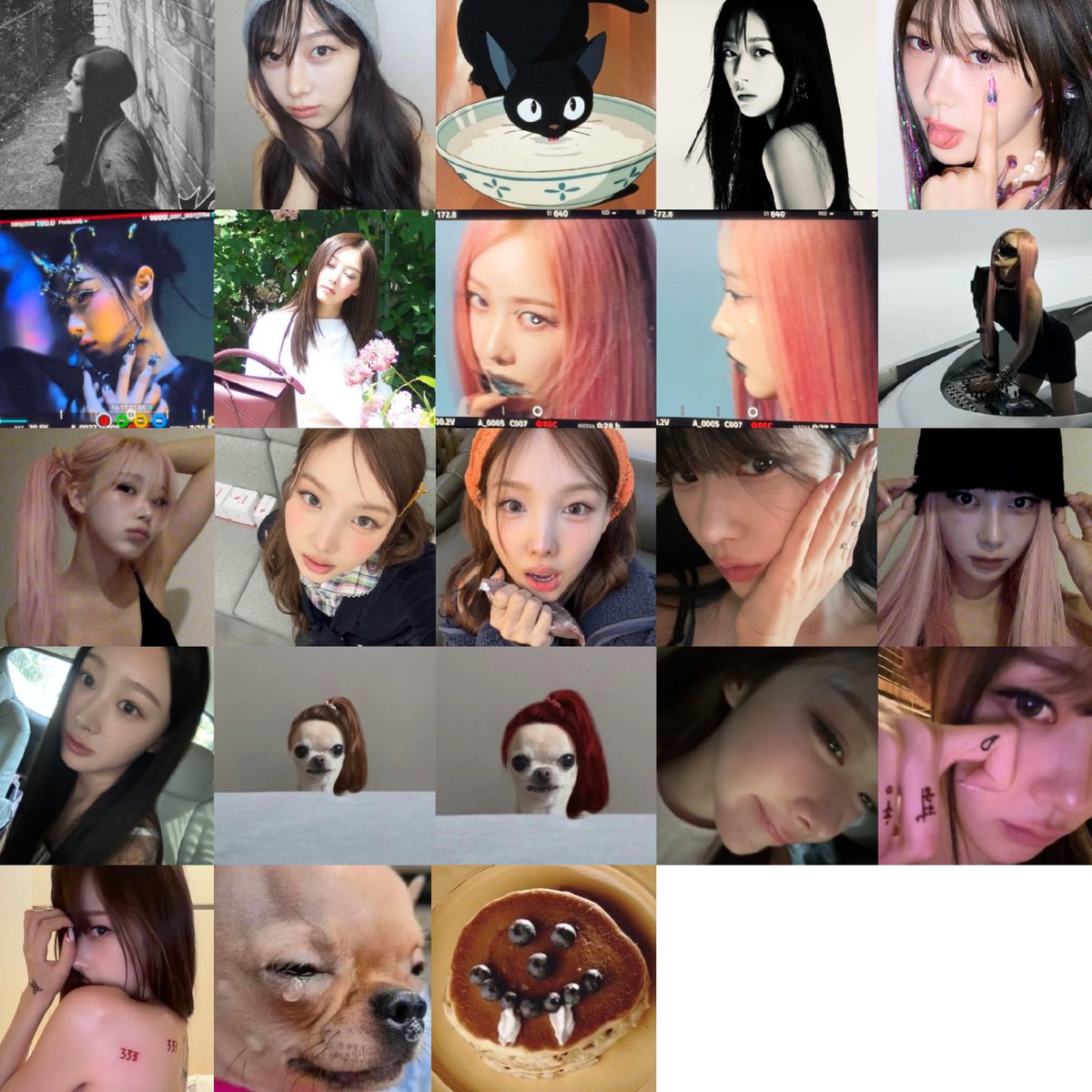 •ᴗ• tweet media