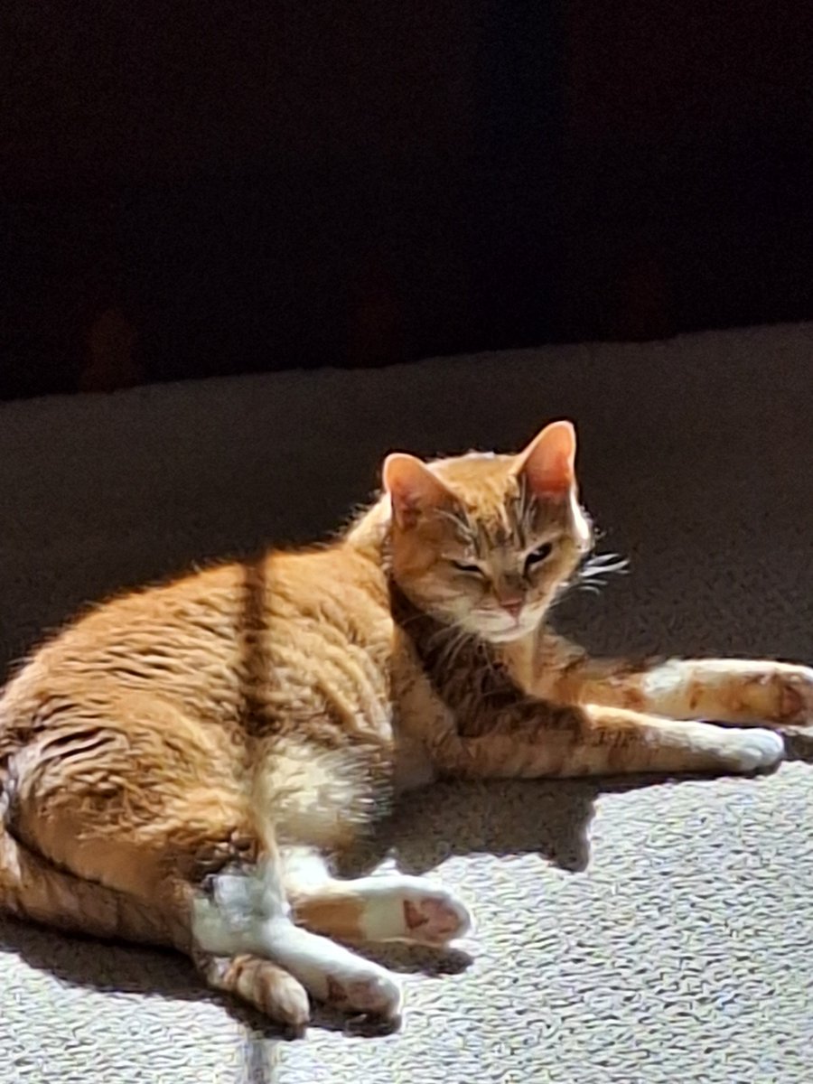 Inonymus tweet media