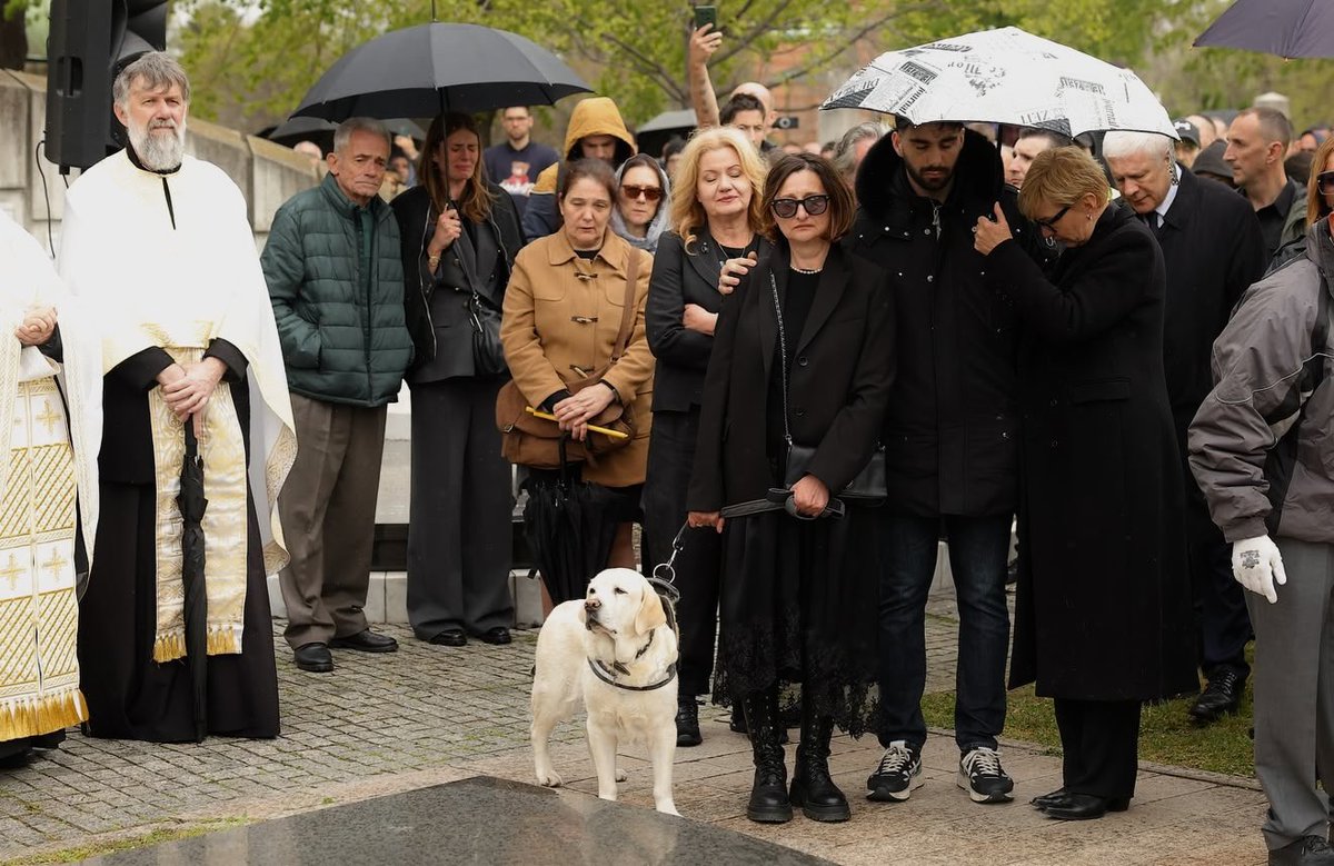 KK Partizan Mozzart Bet tweet media