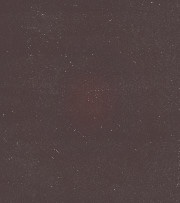  *̲ ᅟLIONCUB ᅟ┈ ⁎ tweet media