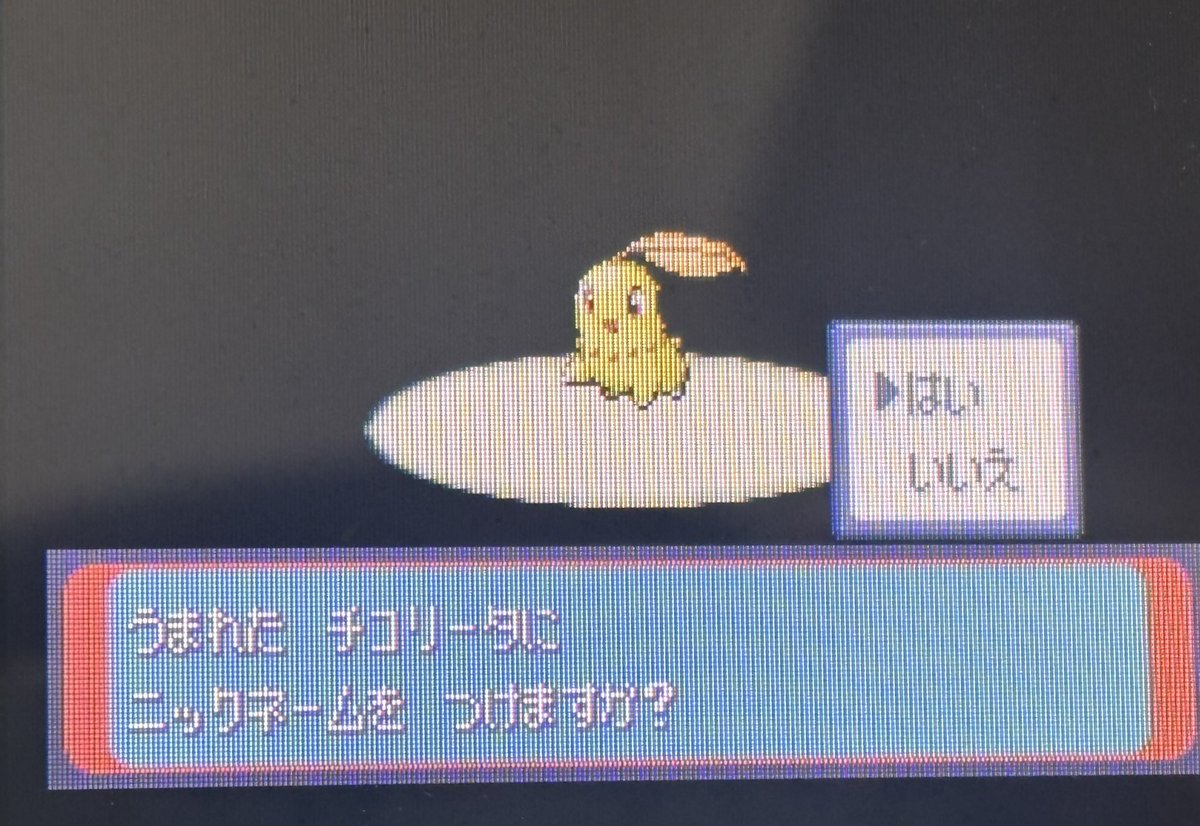 ゆきゆ tweet media