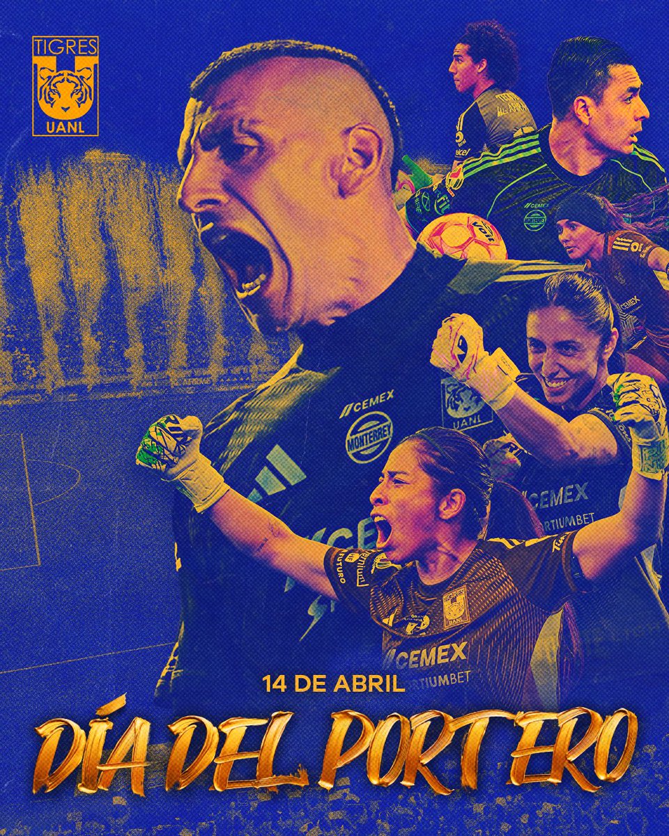 Club Tigres Femenil 🐯 tweet media