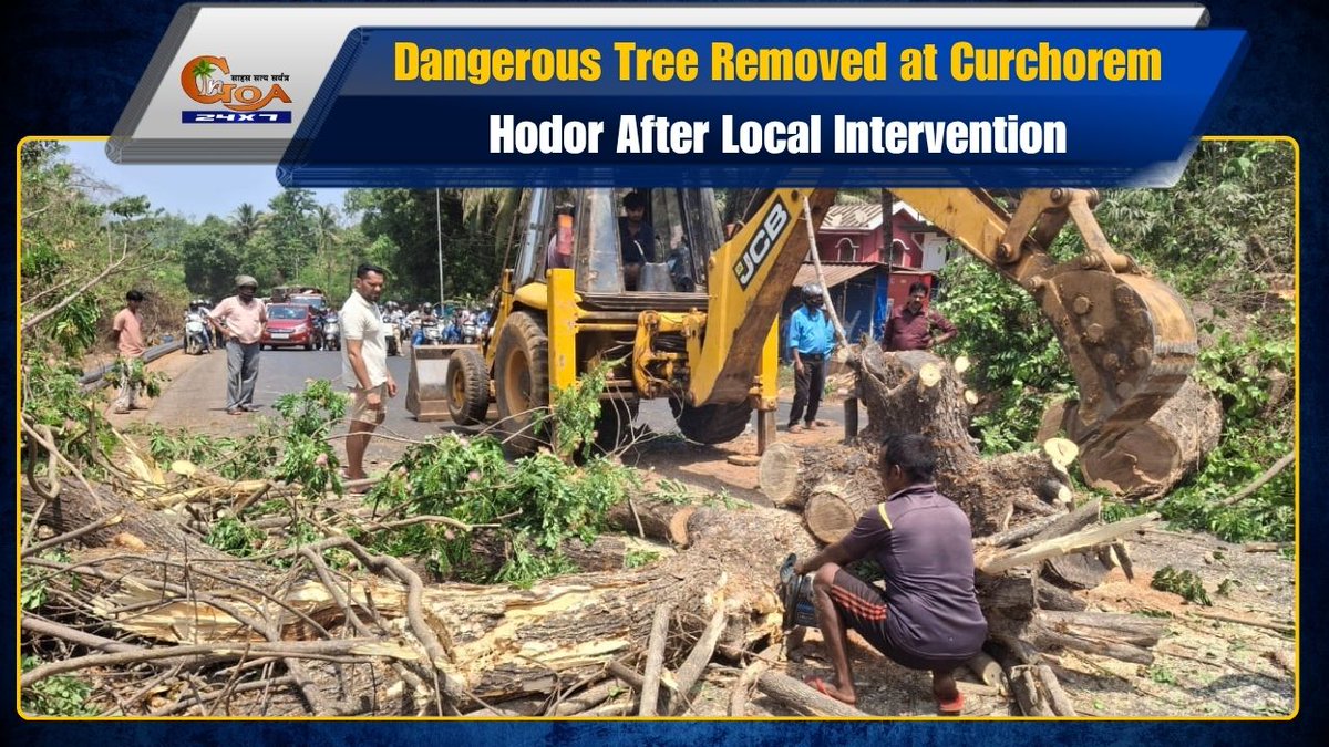 InGoa24x7's tweet image. Dangerous Tree Removed at Curchorem Hodor After Local Intervention
WATCH:youtu.be/XNBU4B_fQm4

#GOA #GOANEWS #INGOA #Curchorem #PublicSafety #LocalAction #TreeRemoval #GoaUpdates #BreakingNews