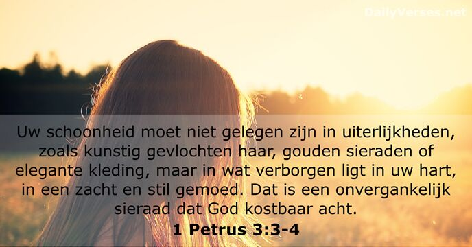 Gerrit Stanneveld tweet media