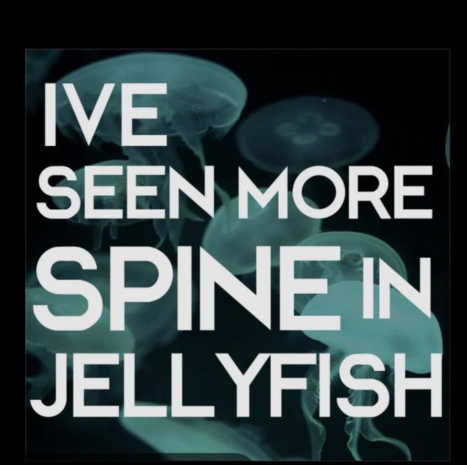 Democratic Deb tweet media