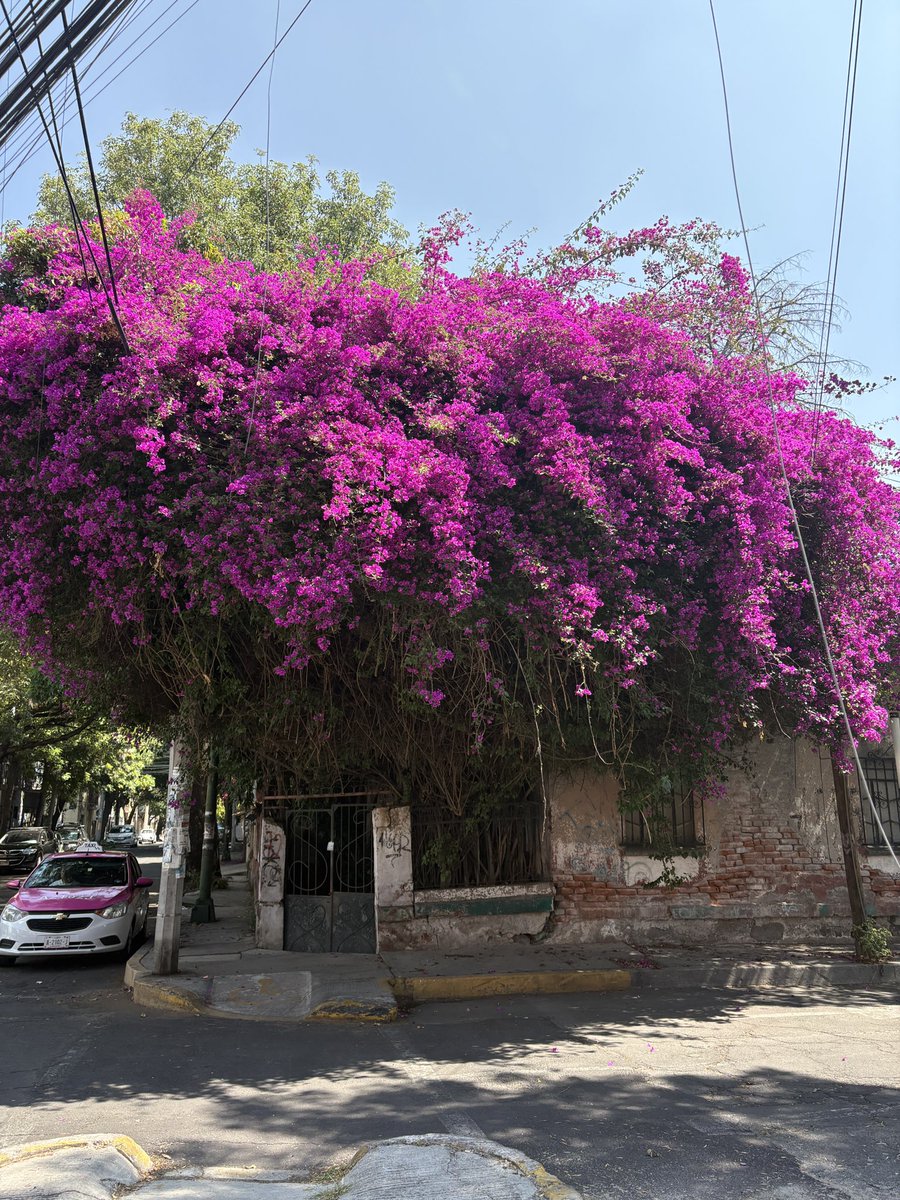 Mujer que toma café tweet media