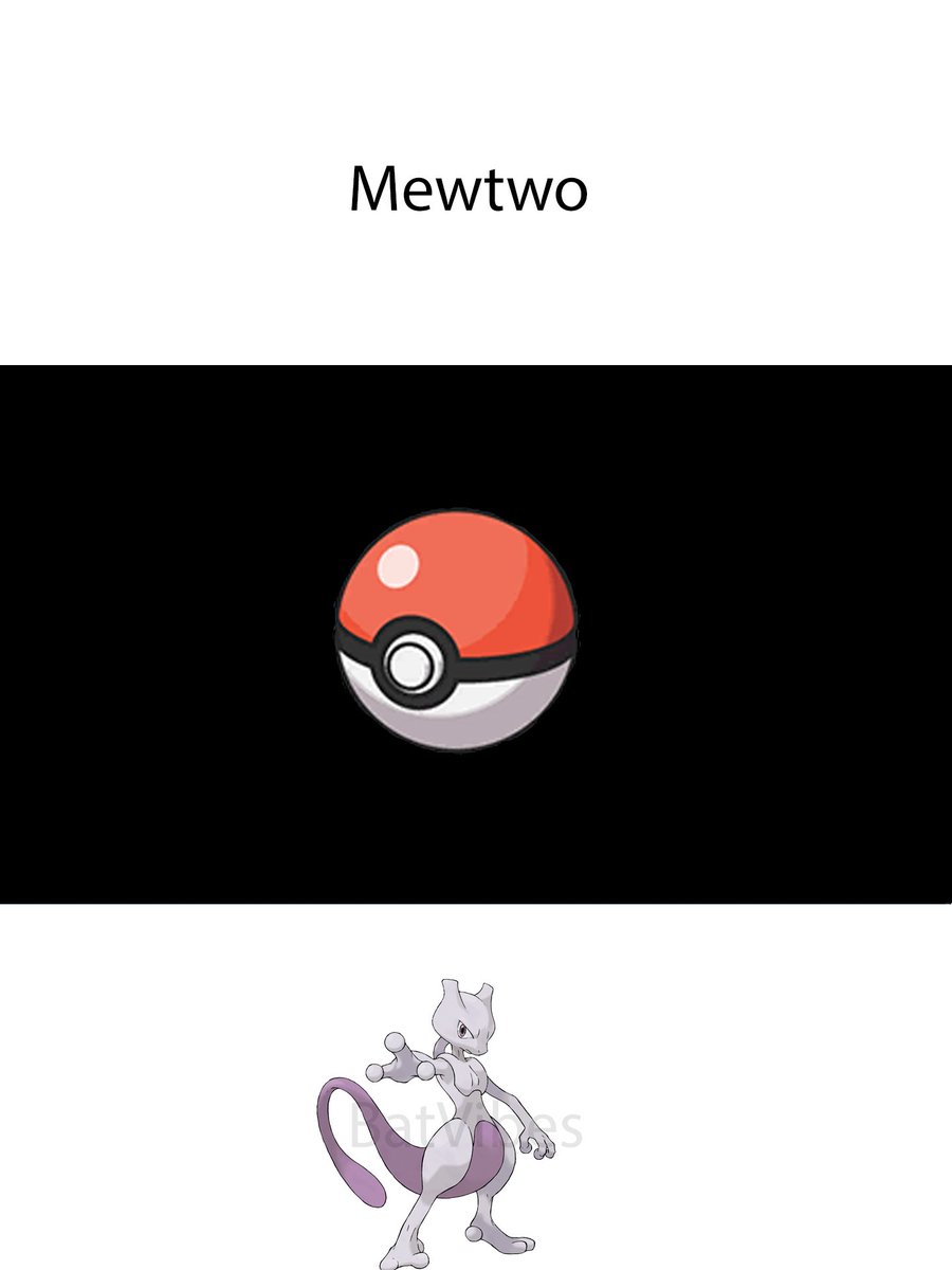 Bat Vibes tweet media