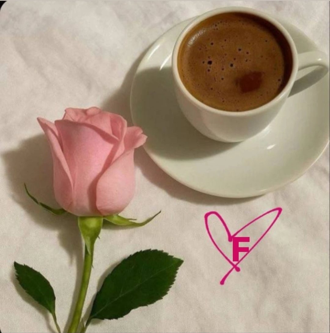 🇰🇼💕 فااطمه💕🇰🇼 tweet media