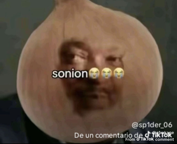 BlitzkriegLover1941 tweet media