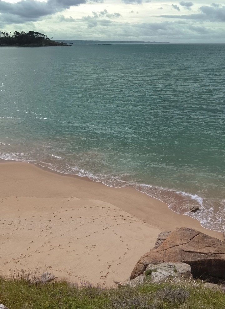 Tadzio Alicante tweet media