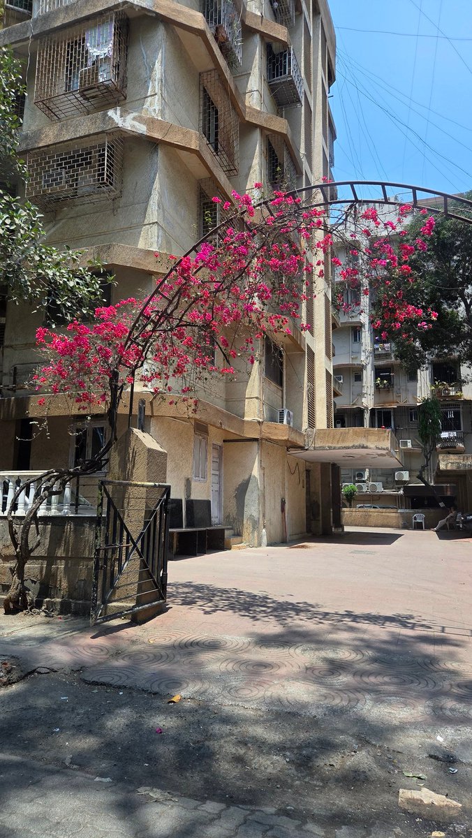 Siddharth tweet media