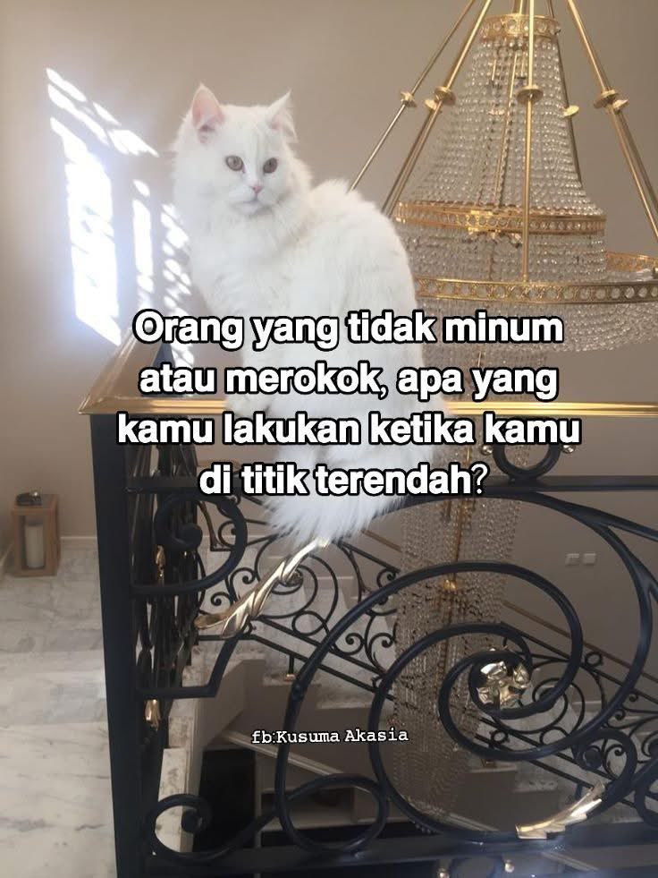 sosmed keras tweet media