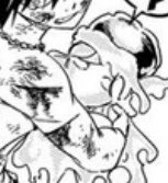 yan🪻ᵎᵎ tweet media