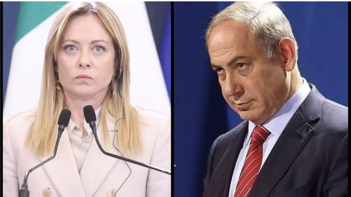 Camille Moscow 🇷🇺 🌿 ☦️ tweet media