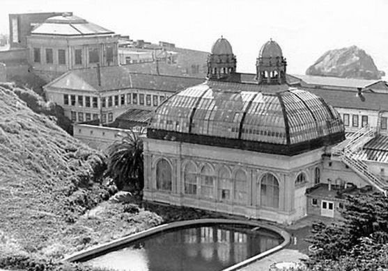 PabloPeniche's tweet image. Sam Altman should reopen the Sutro Baths in San Francisco and make them free to the public and family friendly.

People would love him for it.