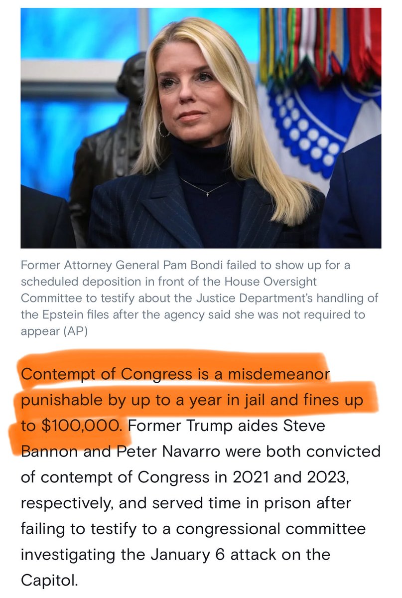 Manatees Are A Mood tweet media