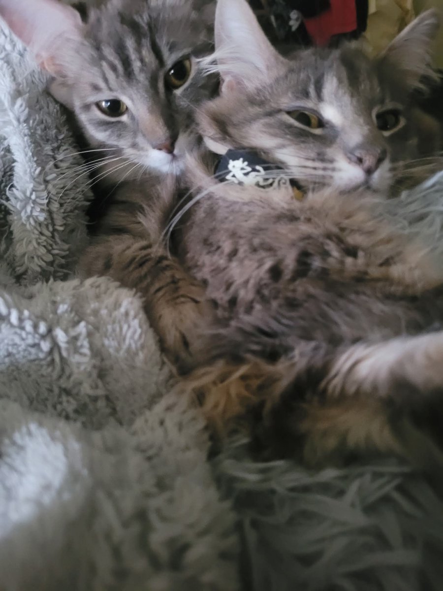 Mary 🕊️ tweet media