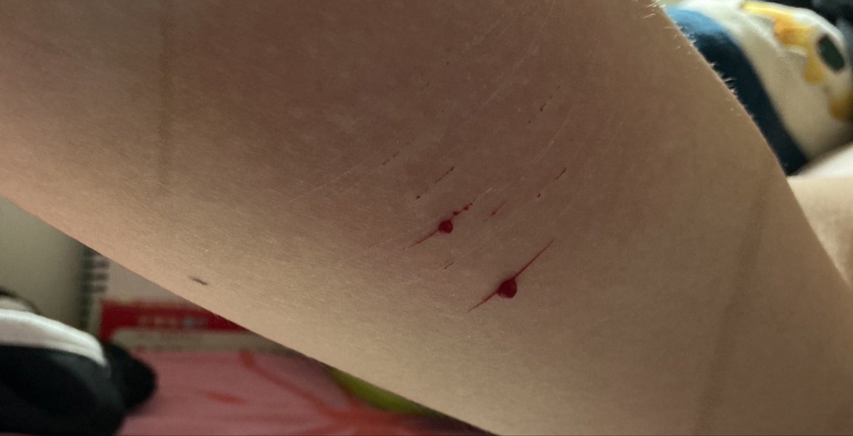 Marin of shedtwt (larp) tweet media