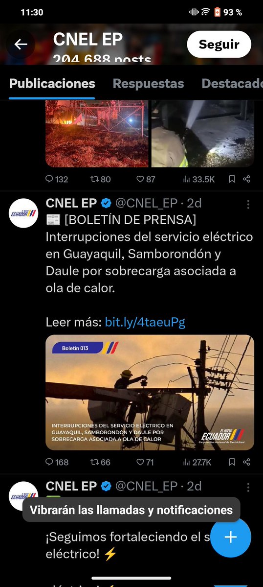 Tostón Cat 🐈 tweet media