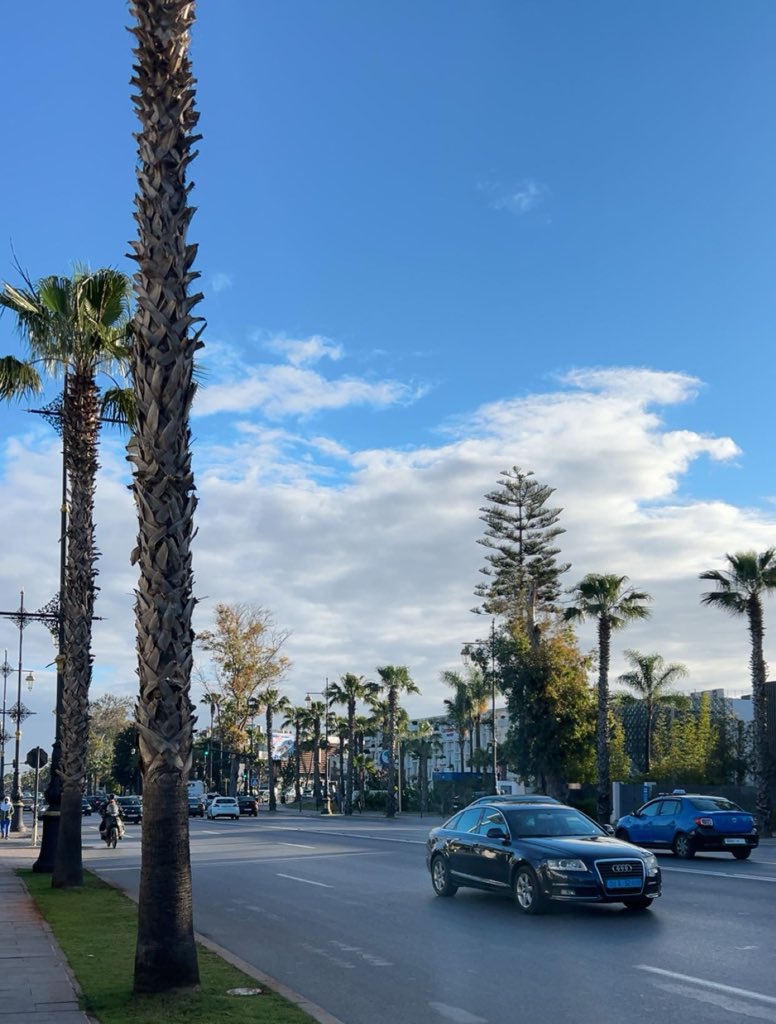 𝐁𝐚𝐝𝐫 | بَــــدْر tweet media