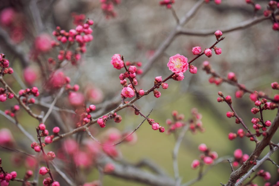 Janet West tweet media