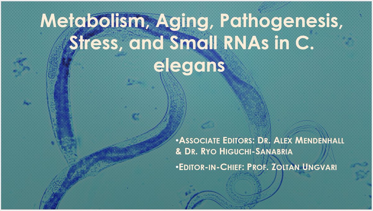 GeroScienceAGE's tweet image. 📢 NEW #CallForPapers focusing on #metabolism, #aging , #pathogenesis, #stress and #smallrnas  in C. elegans

Read more in the comments and submit 📧at the link⬇️
link.springer.com/journal/11357/…

#celegans #agingmodel #DietaryRestriction #mitochondrialfunction #longevity
#proteostasis