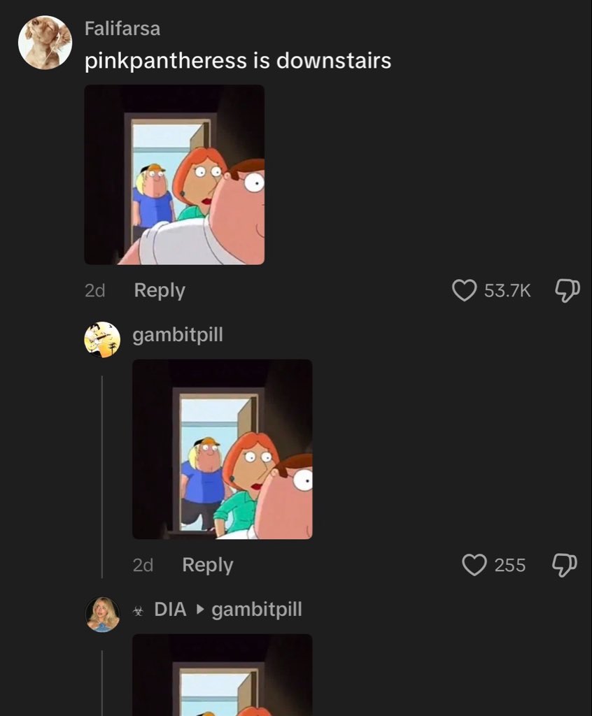 kaden ✴︎⋆.° tweet media