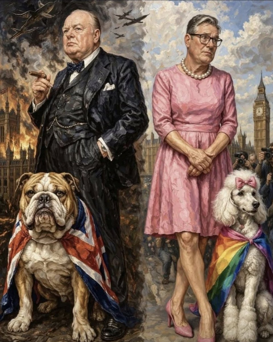 SWITZCCT tweet media