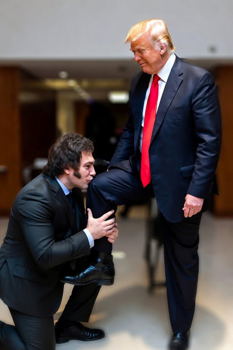 SANGRE ROJA tweet media