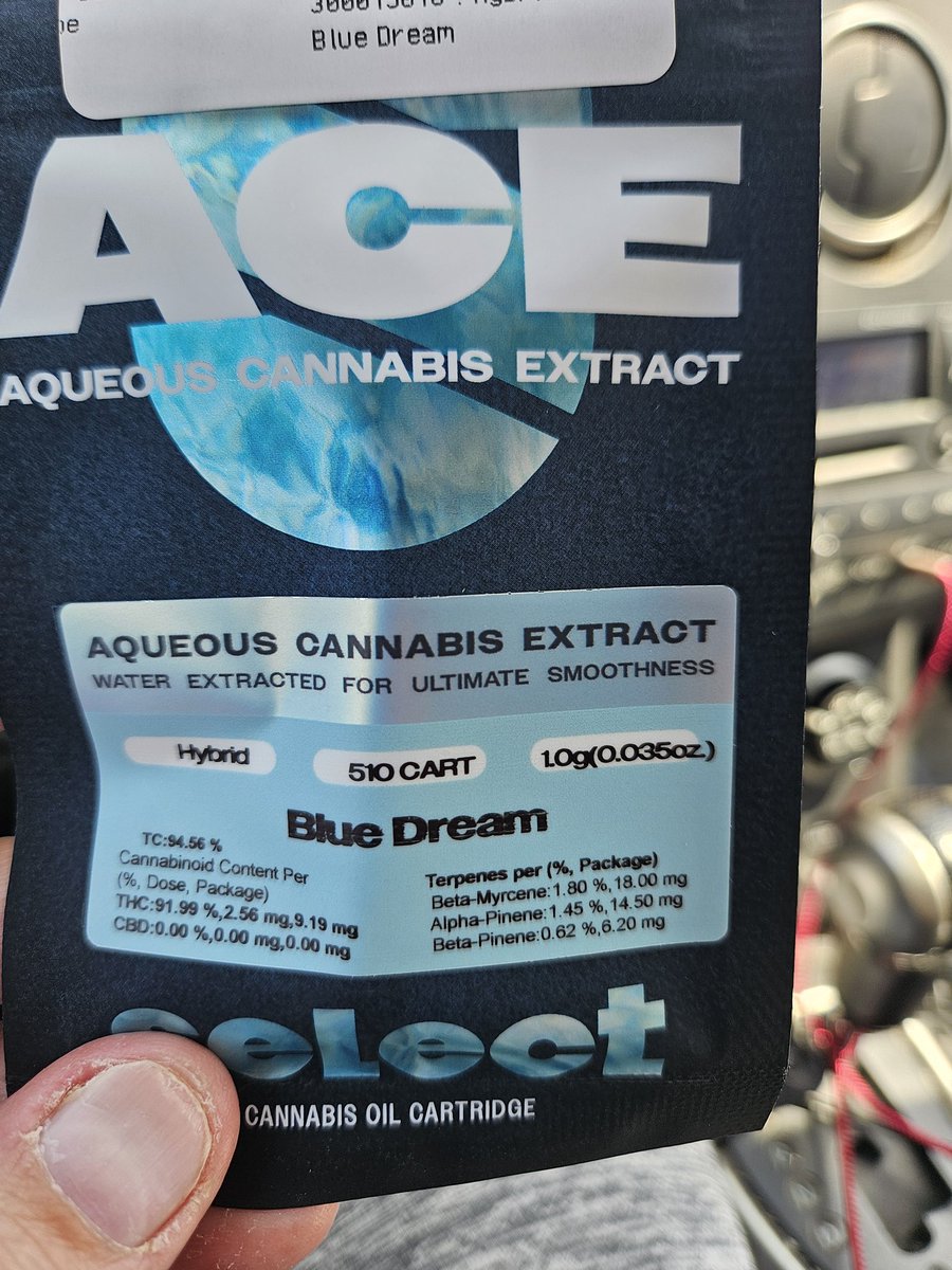 Dahlia 💜🐶🏳️‍⚧️ tweet media