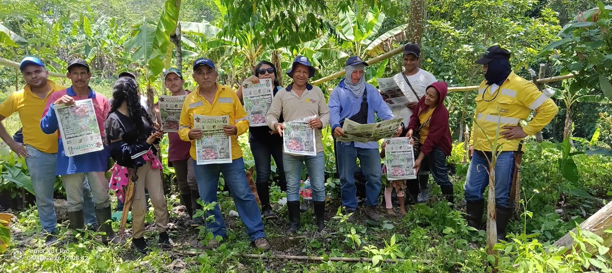fedecacao's tweet photo. ¡Estamos en el corazón de La Guajira! ☀️ En Villanueva realizamos una demostración de método sobre trazado y nuevas plantaciones de cacao. 

Contamos con la participación de 15 productores 👨‍🌾, quienes destacaron la importancia de estos espacios y agradecieron la capacitación. https://t.co/ZdJ6vi8oMq