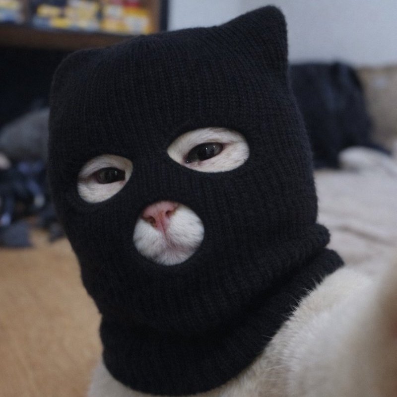 Realest☯️ tweet media