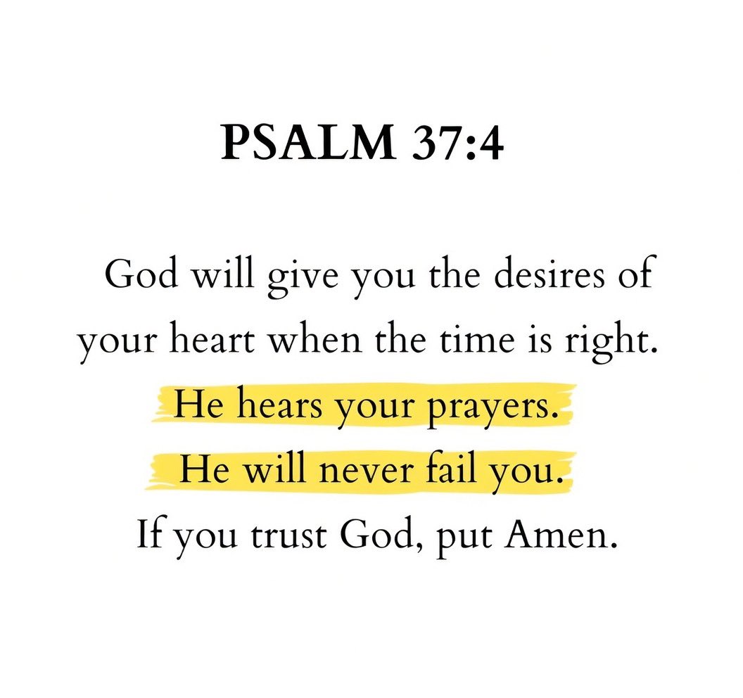 Holy Bible tweet media