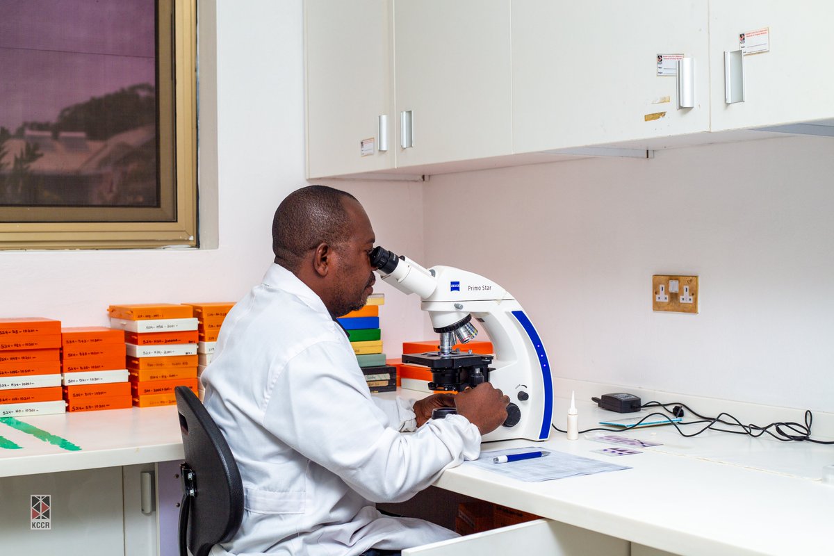 KCCR_GH's tweet photo. KCCR proudly celebrates Geoffrey Folifor successfully completing the WHO AFRO ECAMM 2025 programme an internationally recognised standard for assessing malaria microscopy competence.
READ MORE HEREโฌ๏ธ
https://t.co/UpItaXIt5q
@WHO #BNITM #KCCR @KNUSTGH https://t.co/UGTVUujjvN